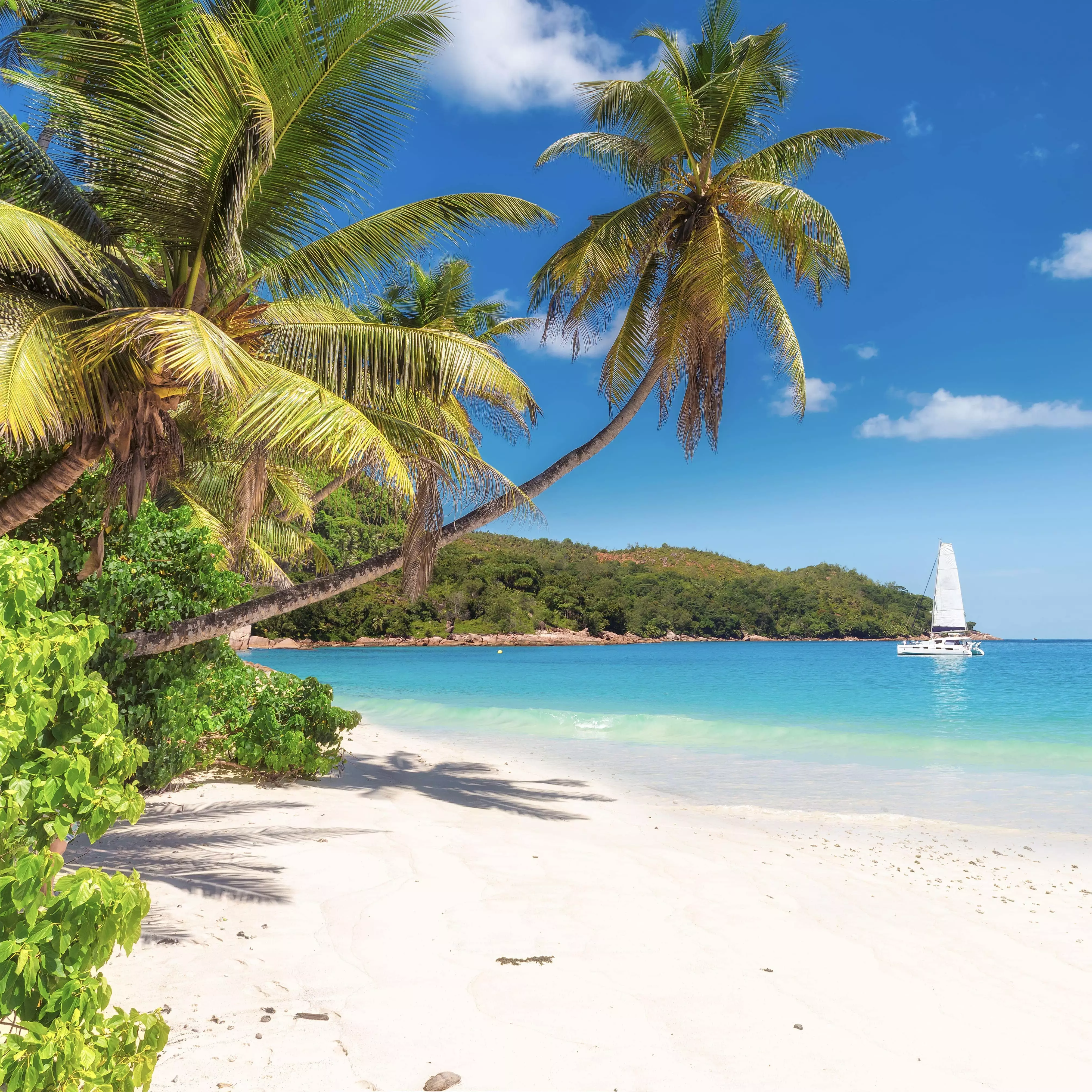 Grenada and Windward Islands