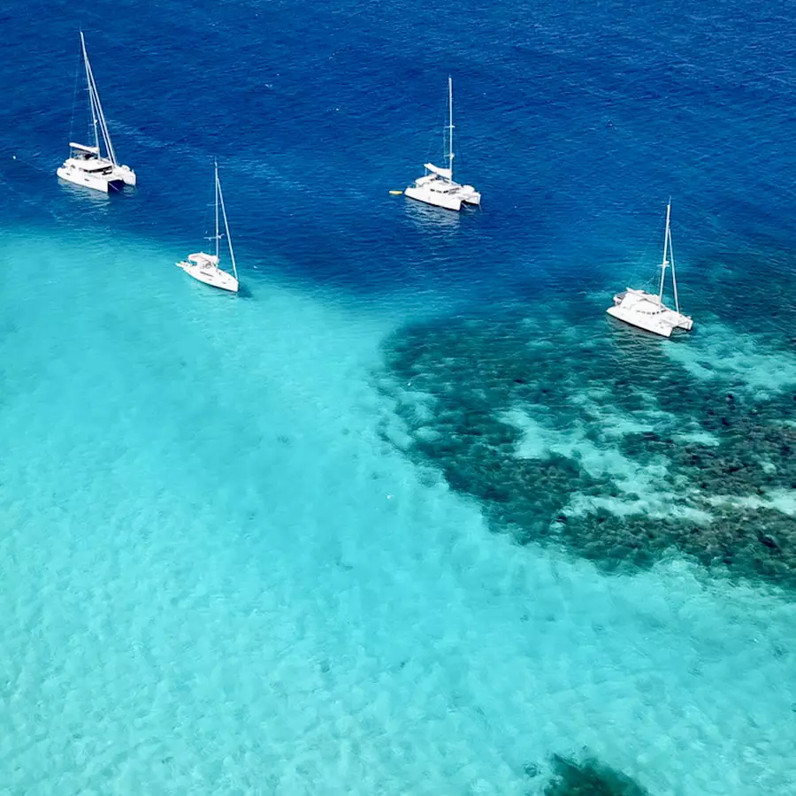 Grenada and Windward Islands