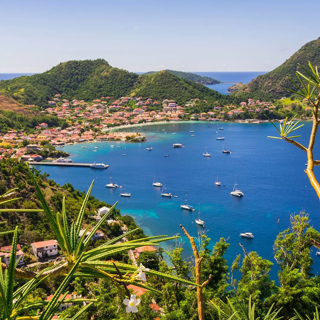 Guadalupa and the Leeward Islands
