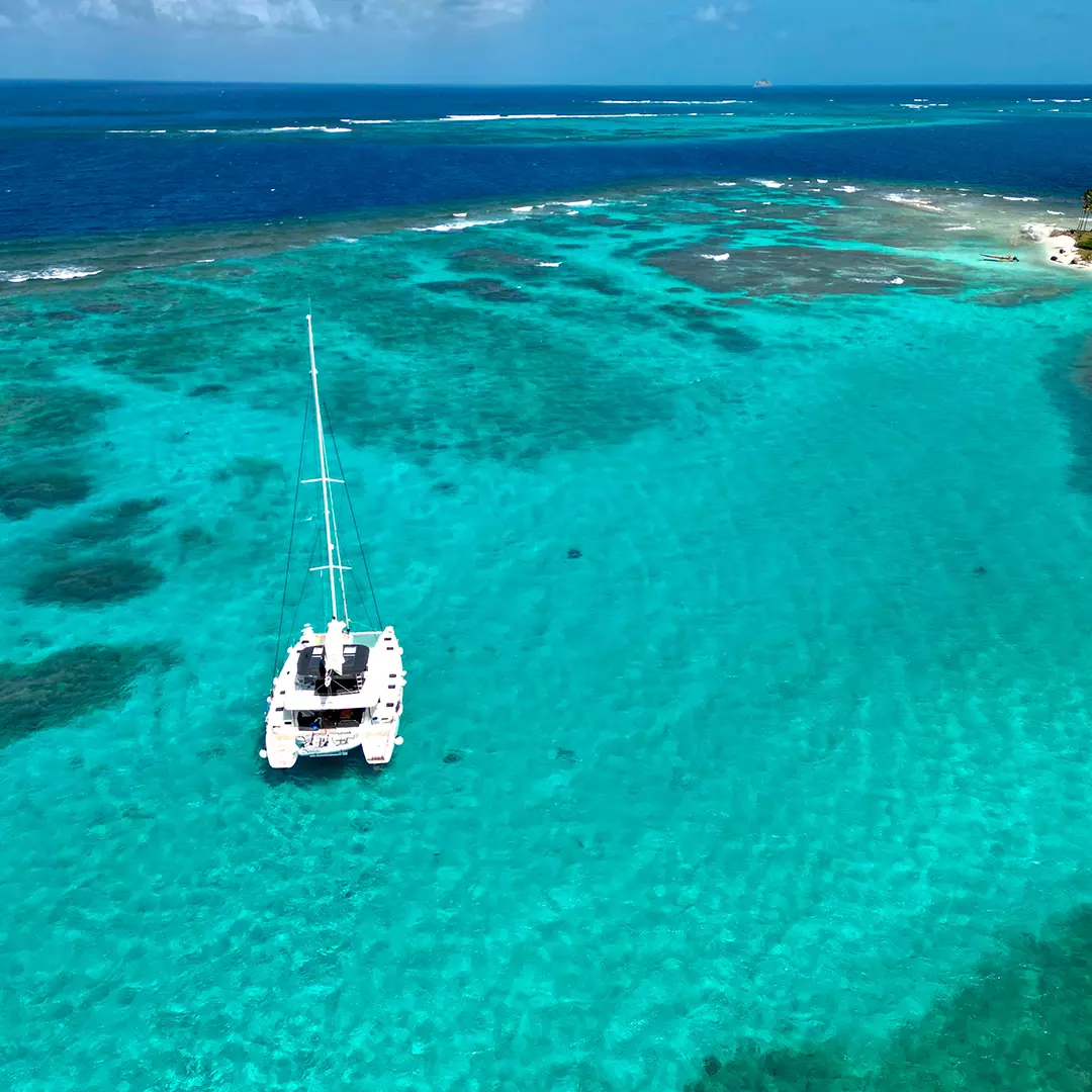 Guadalupa and the Leeward Islands