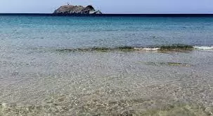 Barcaggio