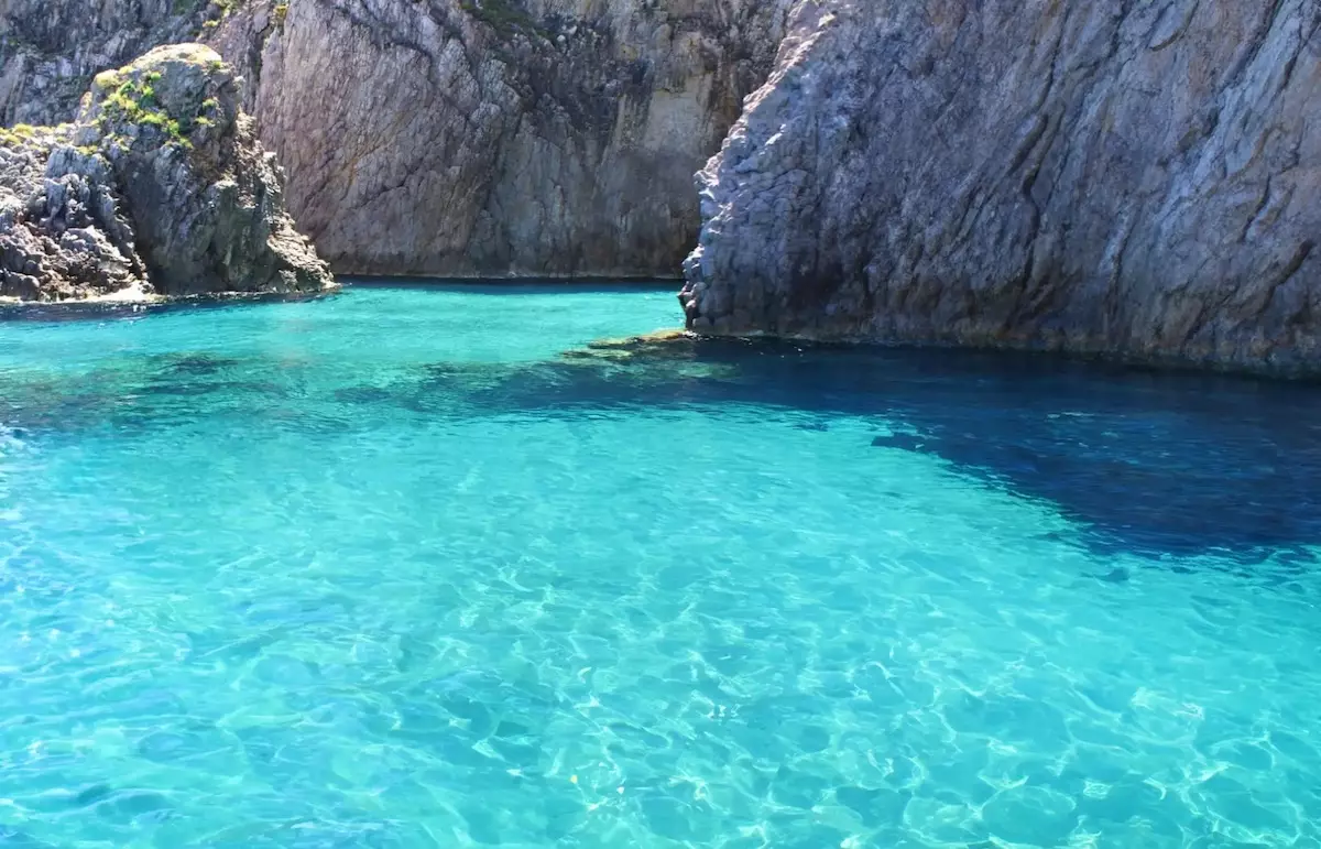 Palmarola