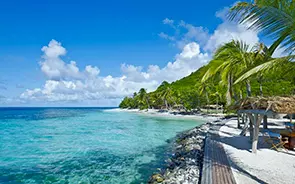 Petit St. Vincent